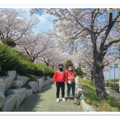 22. 4. 2 해피드림홈 식구들 삼락공원 벚꽃구경