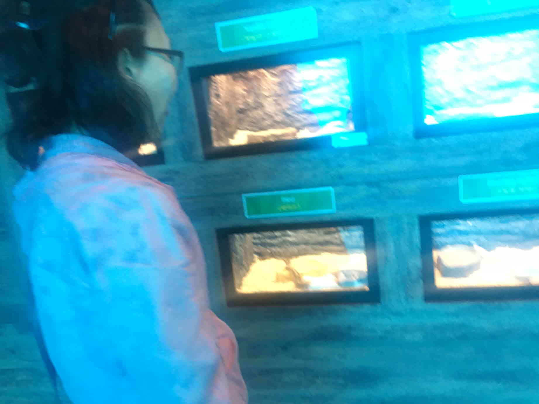 [크기변환]photo_1559180697.jpeg