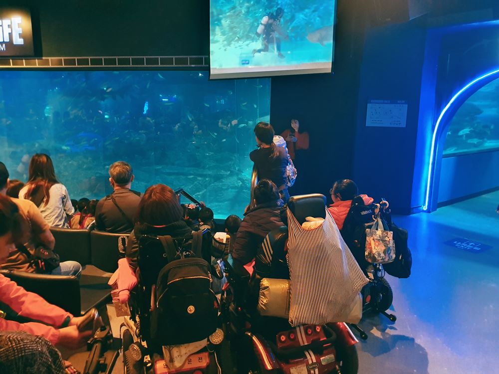 KakaoTalk_20191113_203012636_04.jpg