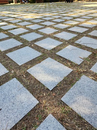 1665988186106.jpg