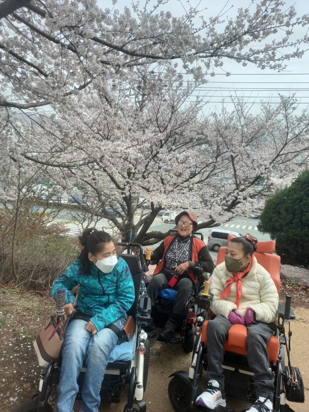 KakaoTalk_20230327_164134007_01.jpg